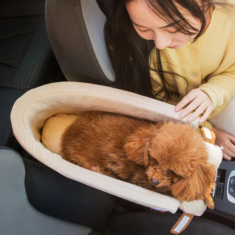 siege-auto-chien-confort